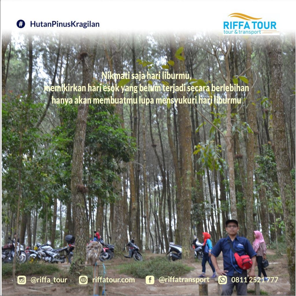 Jelajah Hutan Pinus Kragilan bersama Riffa Tour