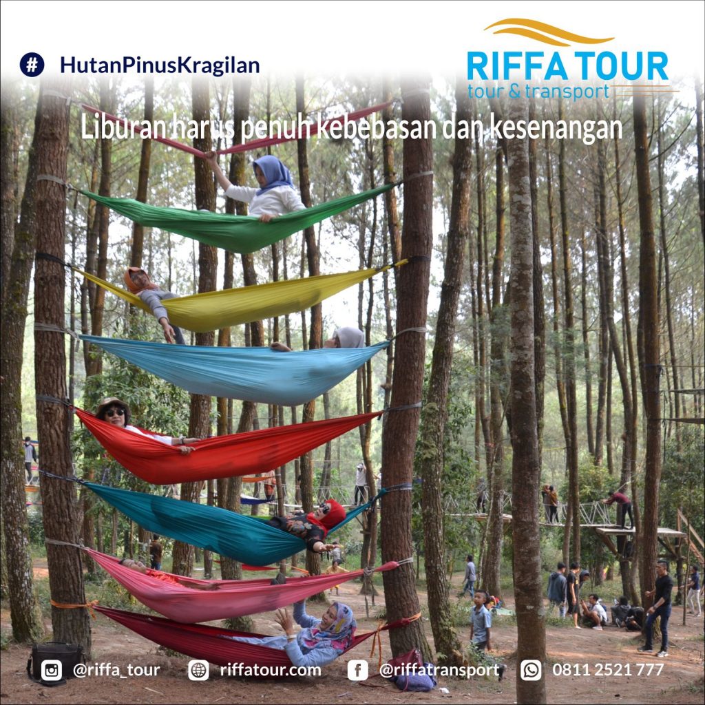 Top Selfie area hutan Pinus Kragilan seru banget