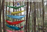 Top Selfie area hutan Pinus Kragilan seru banget