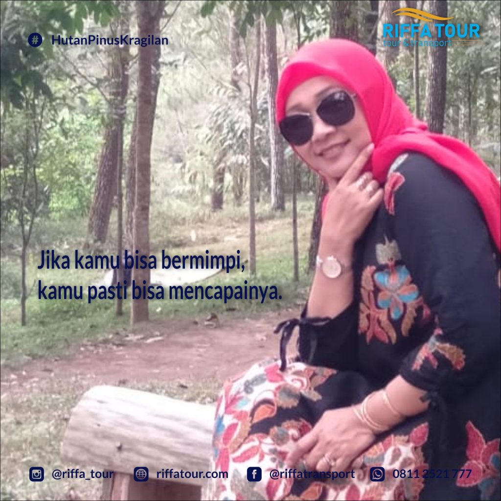 Wisata hutan Pinus bersama dina kesehatan Sleman