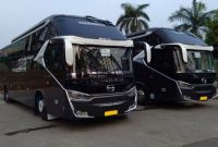 Bus Pariwisata Jogja: Naik Bus Wisata di Yogyakarta